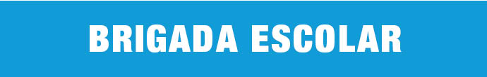 brigada