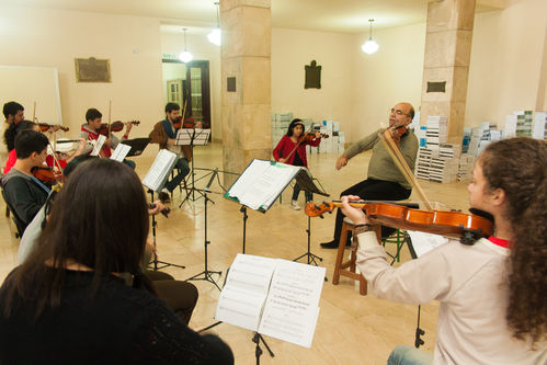 violino
