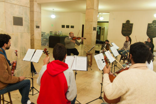 violino