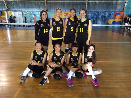 volei