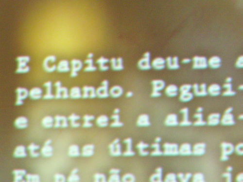Ana Maria Delfim