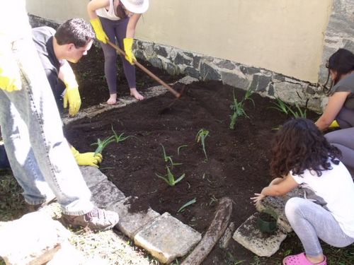 Projeto Horta no CEP