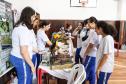 mostra_de_processos_e_trabalhos_cientificos_2024
