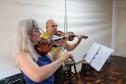 Violino