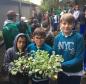 Nesta quarta-feira (5), Dia Internacional do Meio Ambiente, os estudantes do Colégio Estadual do Paraná plantaram diversas mudas de verduras e hortaliças nos canteiros da nova horta construída no Colégio Estadual Tiradentes (CEP-Tiradentes). 