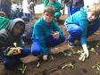 Nesta quarta-feira (5), Dia Internacional do Meio Ambiente, os estudantes do Colégio Estadual do Paraná plantaram diversas mudas de verduras e hortaliças nos canteiros da nova horta construída no Colégio Estadual Tiradentes (CEP-Tiradentes). 