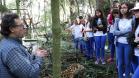 Para se aproximar da fauna e flora brasileira, um grupo de estudantes e professores do Colégio Estadual do Paraná (CEP) visitou, na quarta-feira (12), o Museu de História Natural localizado no bairro Capão da Imbuia, em Curitiba.