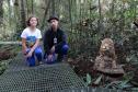 Para se aproximar da fauna e flora brasileira, um grupo de estudantes e professores do Colégio Estadual do Paraná (CEP) visitou, na quarta-feira (12), o Museu de História Natural localizado no bairro Capão da Imbuia, em Curitiba.