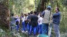 Para se aproximar da fauna e flora brasileira, um grupo de estudantes e professores do Colégio Estadual do Paraná (CEP) visitou, na quarta-feira (12), o Museu de História Natural localizado no bairro Capão da Imbuia, em Curitiba.
