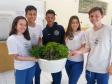 Alface, almeirão, brócolis, escarola, espinafre, couve, salsinha, cheiro-verde e outras verduras e hortaliças foram colhidas, nesta quinta-feira (12), na horta do Colégio Estadual Amâncio Moro (CEP-Amâncio).