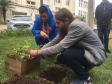 No início da tarde desta segunda-feira (23), os estudantes acompanhados pelas equipes gestora e pedagógica, e por representantes da Secretária de Estado da Educação do Paraná (SEED), plantaram algumas mudas de árvores no pátio da instituição de educação mais antiga do Estado.