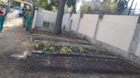 Projeto revitaliza a horta do CEP