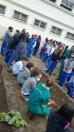 Projeto revitaliza a horta do CEP