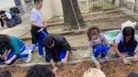 Projeto revitaliza a horta do CEP