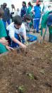 Projeto revitaliza a horta do CEP
