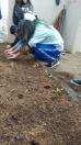 Projeto revitaliza a horta do CEP