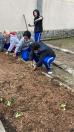 Projeto revitaliza a horta do CEP