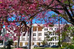 fachada_flores.jpg