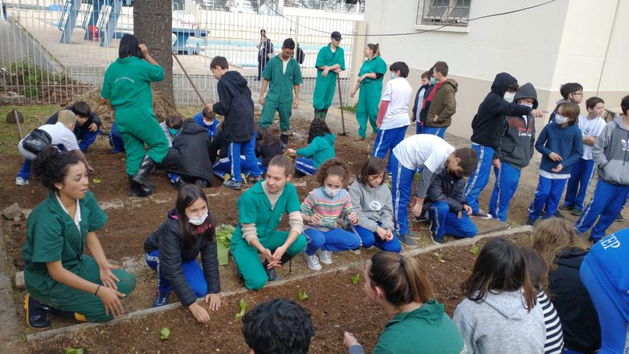 Projeto revitaliza a horta do CEP