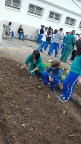 Projeto revitaliza a horta do CEP