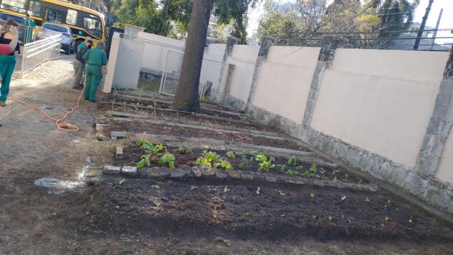 Projeto revitaliza a horta do CEP