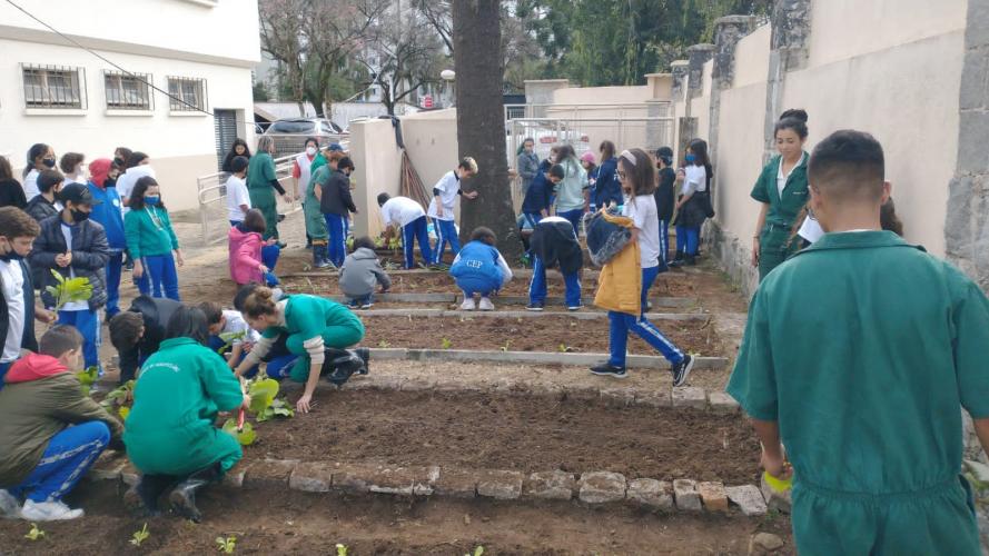 Projeto revitaliza a horta do CEP