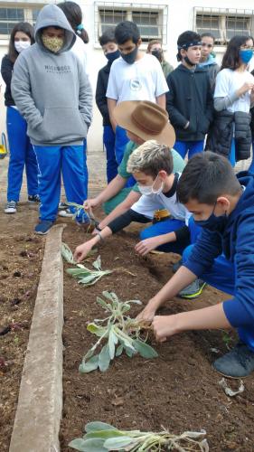 Projeto revitaliza a horta do CEP
