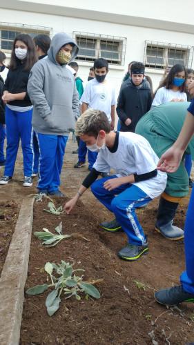 Projeto revitaliza a horta do CEP