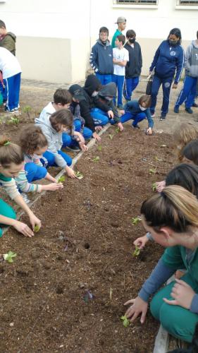 Projeto revitaliza a horta do CEP