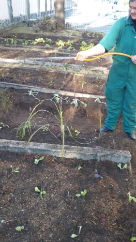 Projeto revitaliza a horta do CEP