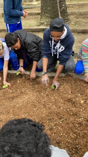 Projeto revitaliza a horta do CEP