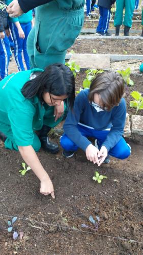 Projeto revitaliza a horta do CEP