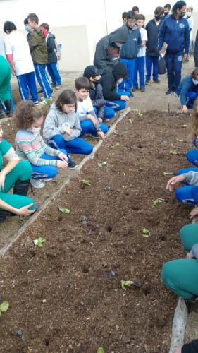 Projeto revitaliza a horta do CEP