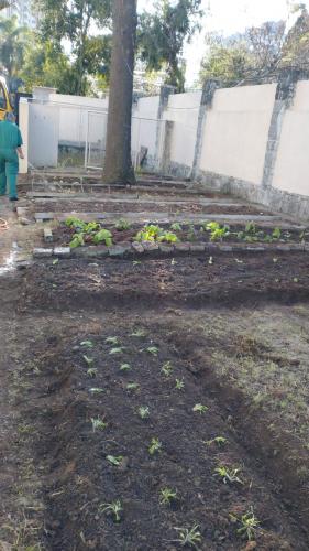 Projeto revitaliza a horta do CEP