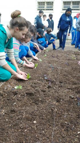 Projeto revitaliza a horta do CEP