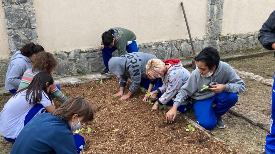 Projeto revitaliza a horta do CEP