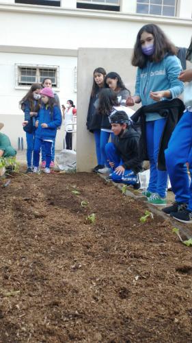 Projeto revitaliza a horta do CEP