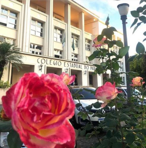 cep_fachada_e_flores