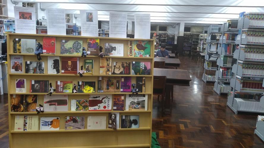 biblioteca_estante_consciencia_negra