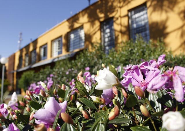 oferta_de_cursos_guido_viaro