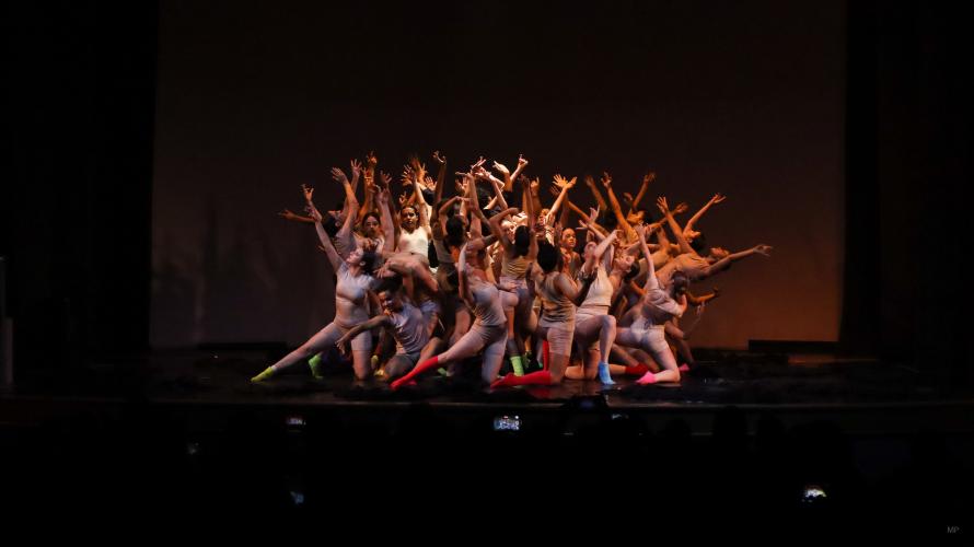 mostra_processos_2024_dancep