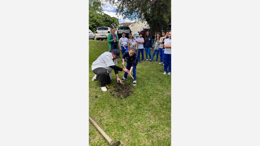 Plantação flores e frutos