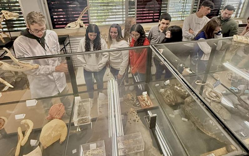 Turma do Prótese Dentária visita Museu de Anatomia