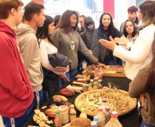 festival_de_culturas_tradicionais_2023