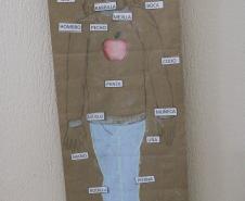 corpo