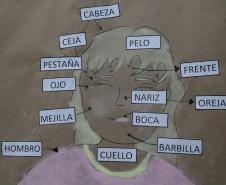 corpo