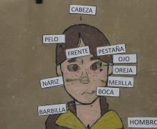 corpo