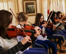 Violino