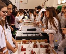 Estudantes participando das mostras de Conhecimento e da Educação Profissional