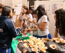 Estudantes participando das mostras de Conhecimento e da Educação Profissional